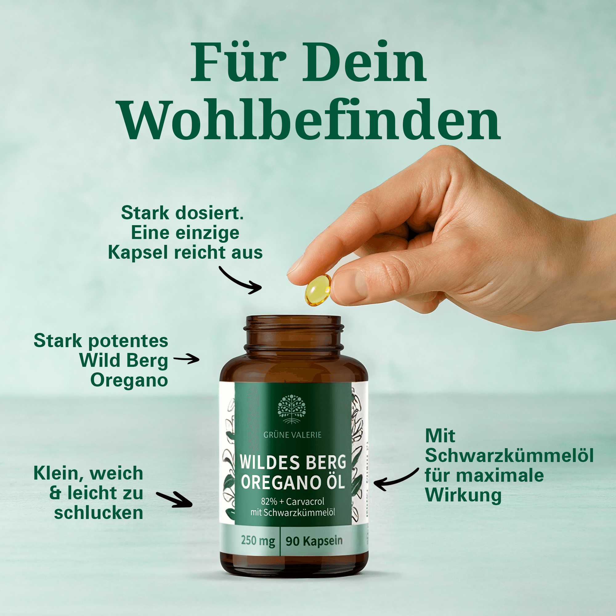Welche Wirkung haben Oregano-Öl-Kapseln?