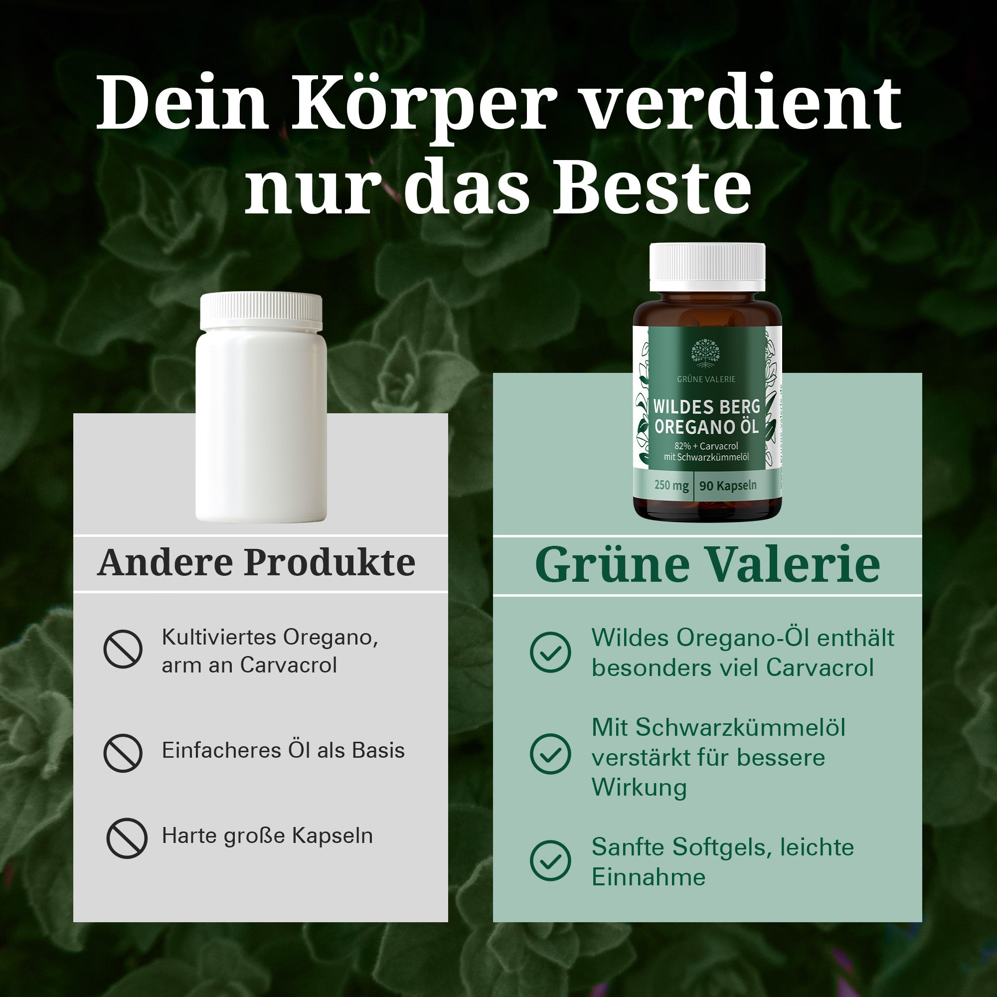 Welche Wirkung haben Oregano-Öl-Kapseln?
